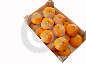 Oranges