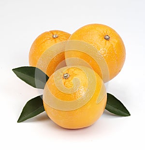 Oranges