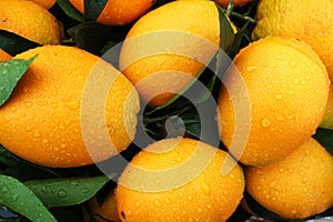 Oranges