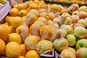 Oranges and apples in the store
