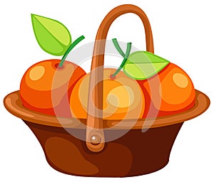 Oranges in basket
