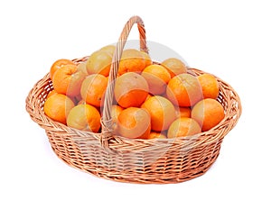 Oranges in basket