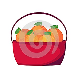 oranges basket design