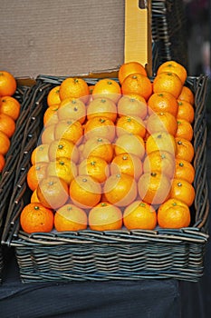 Oranges in Basket