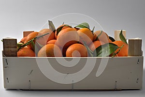 Oranges crate