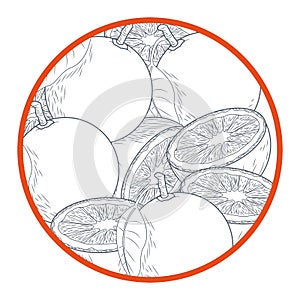 Oranges cut half round icon