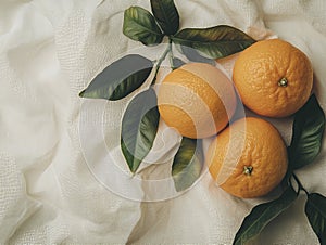 Oranges on Fabric Background
