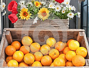 Oranges and flowers