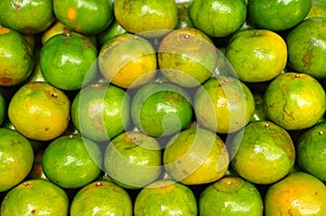 Oranges on friut shelf