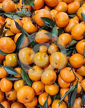 oranges fruit with green leaves - fruits background