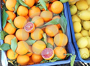Oranges at grocery shop - tarocco blood orange - sanguine orange photo