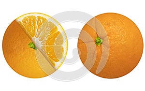 Oranges on an isolated white background.
