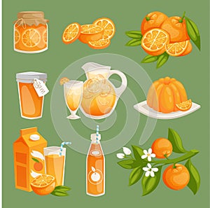 Oranges juice food products vector illustration. Fresh natural orange citrus fruit slice set. Juicy tropical dessert photo