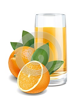 Oranges juice illustration