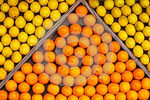 Oranges and lemons in a greengrocery