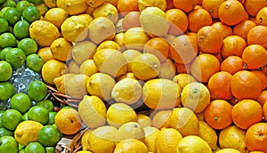 Oranges, Lemons & Limes