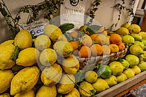 Oranges, Lemons and Limes for sale on the Amalfi coast, Campagnia, Italy, October 2023