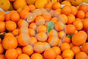 Many Oranges in a bin at a Farmers Market