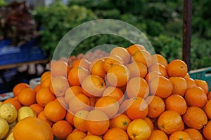 Oranges on marketplace. Farmers market with fruits