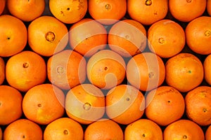 Oranges