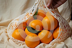 Oranges nestled in a white net, gripped with care