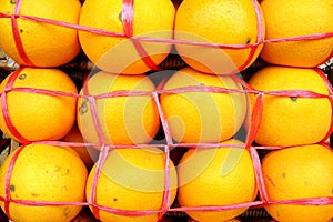 Oranges
