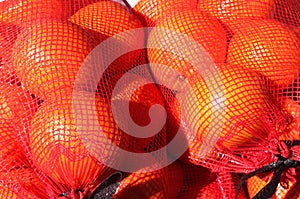 Oranges sacked ready to sell photo