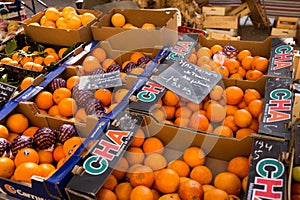 Oranges for Sale Marche