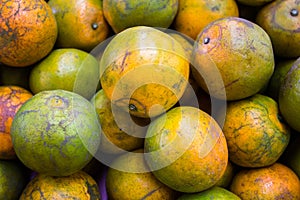 Oranges at super market