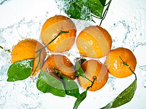 Oranges Water Splash