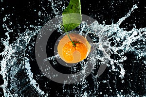 Oranges Water Splash