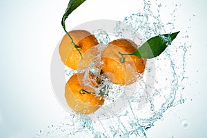 Oranges Water Splash