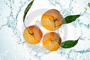 Oranges Water Splash