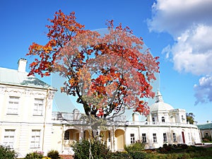 Oranienbaum-Museum-reserve. In this Park, in St. Petersburg there is a beautiful Park and the former Palace of tsars of Imperial R