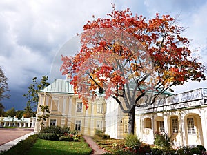 Oranienbaum-Museum-reserve. In this Park, in St. Petersburg there is a beautiful Park and the former Palace of tsars of Imperial R