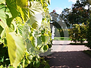 Oranienbaum-Museum-reserve. In this Park, in St. Petersburg there is a beautiful Park and the former Palace of tsars of Imperial R