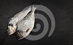 Orata Fish Isolated, Fresh Dorado, Seabream