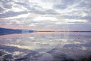 Orbetello lagoon