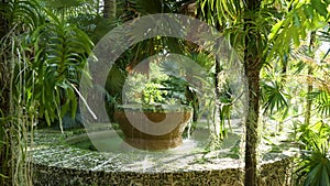 orbit footage of a circular stone water fountain surrounded by lush green palm trees and plants at Miami Botanical Garden in Miami