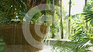 orbit footage of a circular stone water fountain surrounded by lush green palm trees and plants at Miami Botanical Garden in Miami