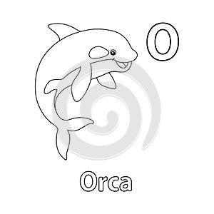 Orca Alphabet ABC Coloring Page O