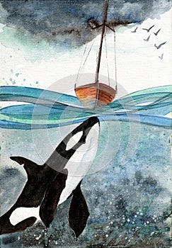 An orca in the blue sea with the boat