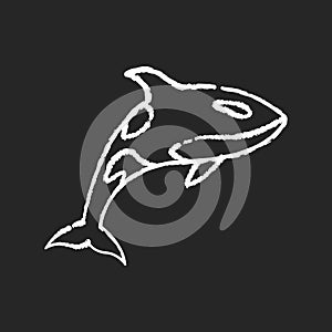 Orca chalk white icon on black background