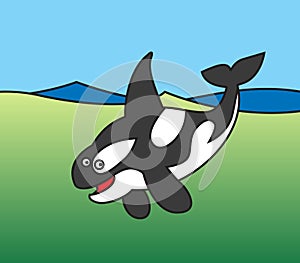 Orca. A friendly killer whale dives into the deep.