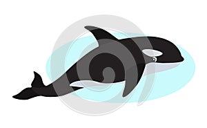 Orca icon, whale killer, isolated on white background