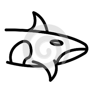 Orca killer whale icon, outline style