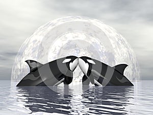 Orca love - 3D render