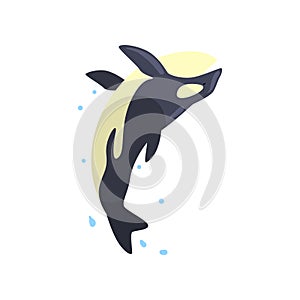 Orca performing in public in dolphinarium or circus vector Illustration on a white background