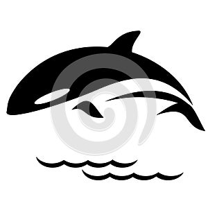 Orca Whale Icon Graphic