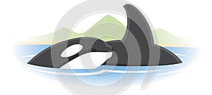 Orca Whale Logo